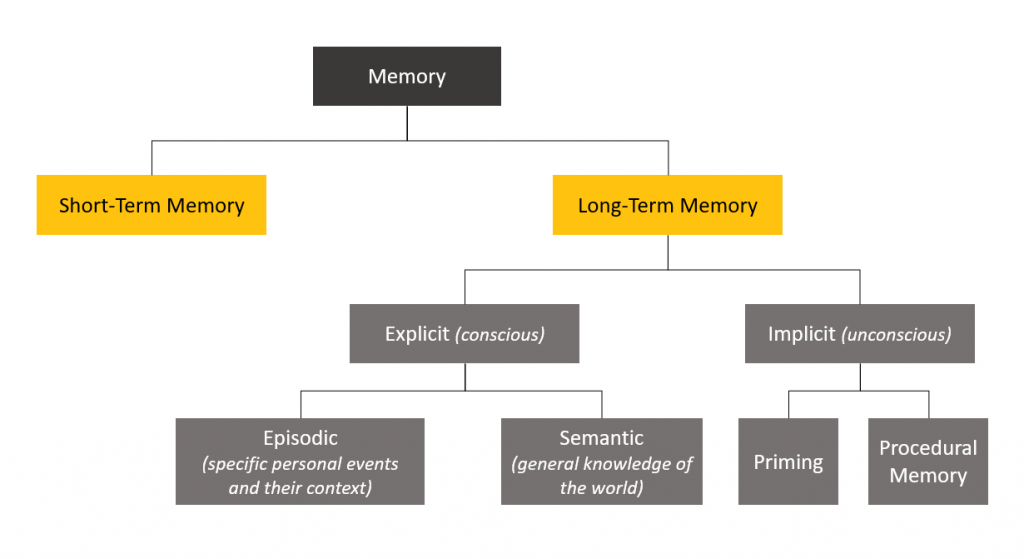 short-term vs long-term memory